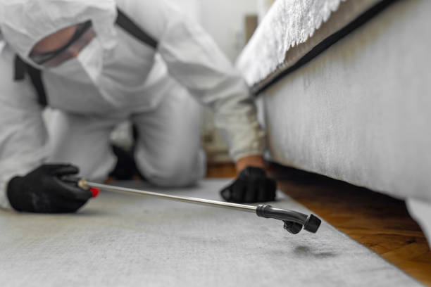 Professional Termite Control technician working in Philipsburg, PA