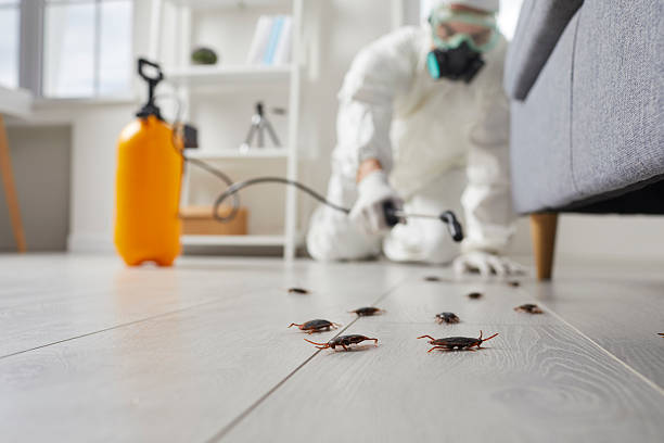 Trusted Fumigation Services service in Philipsburg, PA - Nex Pest Control